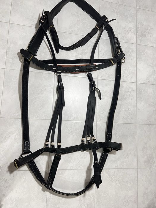 Шлея шкіряна на коня. Преміум якості ,Виробник Румунія!