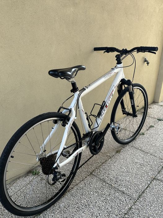 Bicicleta Adulto