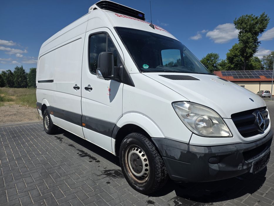 Sprinter chłodnia  Super Stan