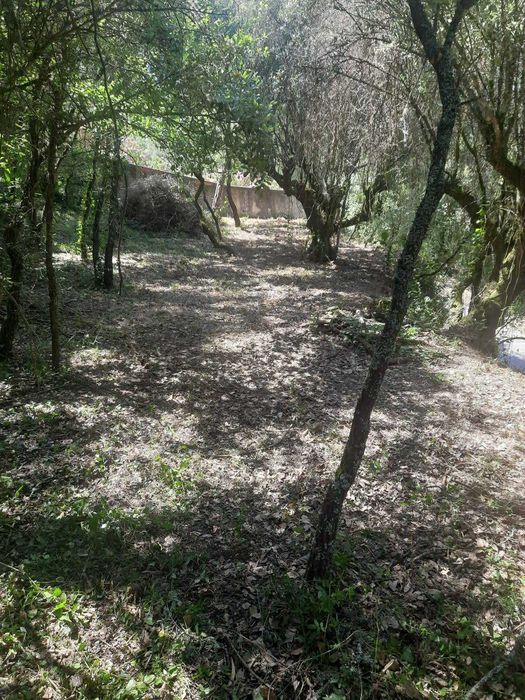 Terreno Rústico em Seiça (Ourém)