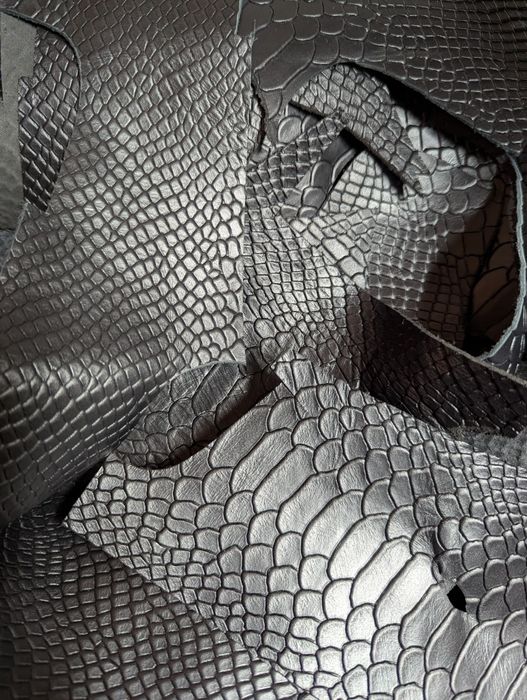 Кусочки кожи питона