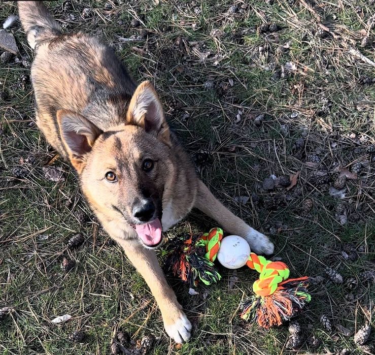 Чудовий хлопчик шукає сім'ю