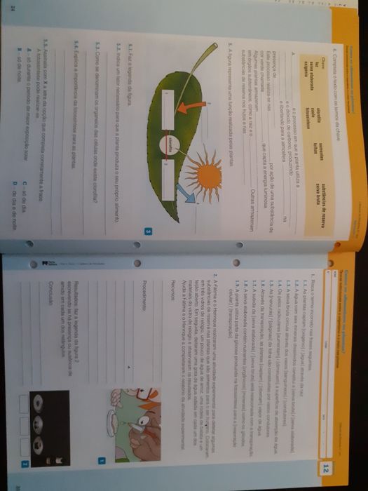 Manual e caderno de Atividades VIVA A TERRA! - Ciências 6º ano