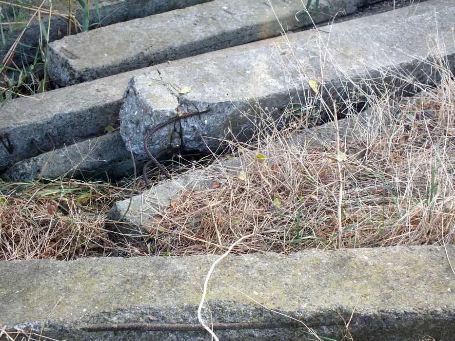 Железобетонные опоры (пасынки) б\у