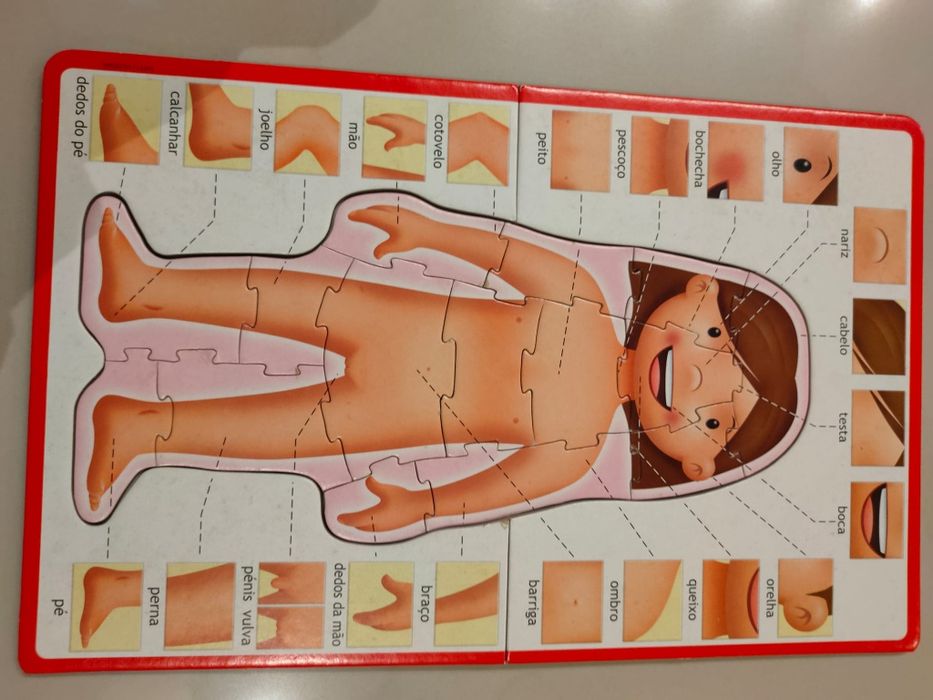 Brinquedo O Corpo Humano