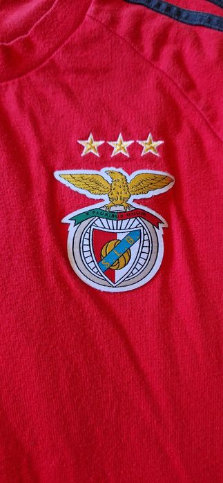 Camisola staff SLB Benfica