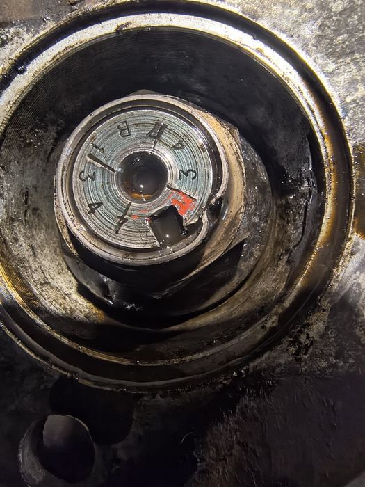 Продам головну пару на івеку