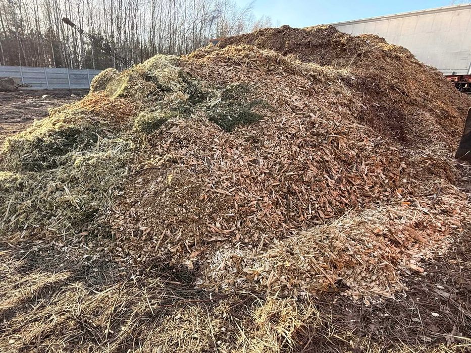 Zrębka drzewna, duże ilości