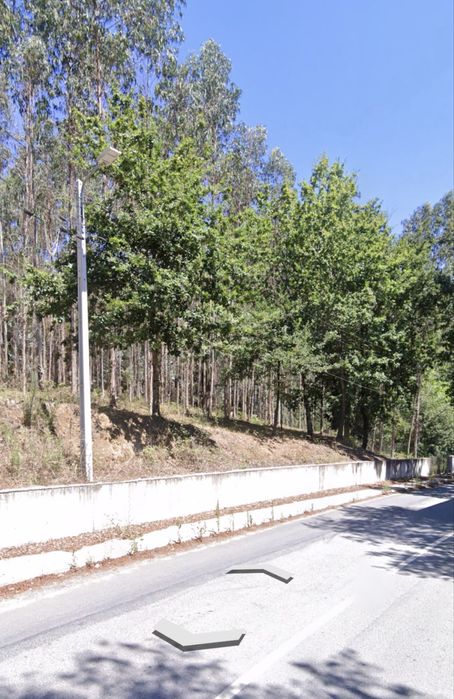 Terreno com cerca de 2 hectares e 70m frente EN309 - Famalicão