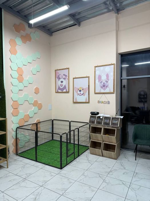 Продам готовый бизнес Груминг Дафи Звездний 1а