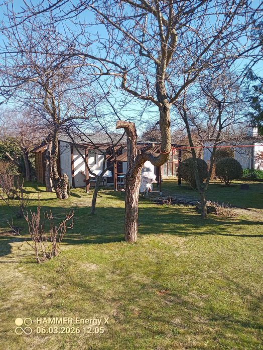 Działka ROD Gdynia Babie Doły 342m2