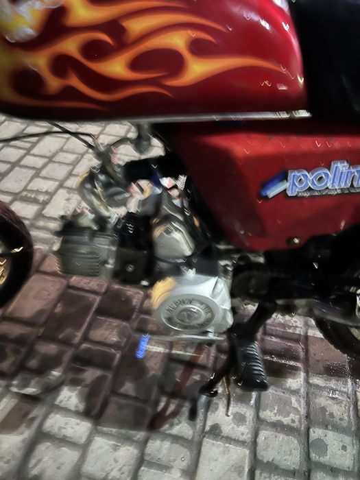 Продам альфу сабур