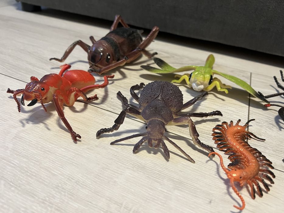 Figurki owadów, itp.