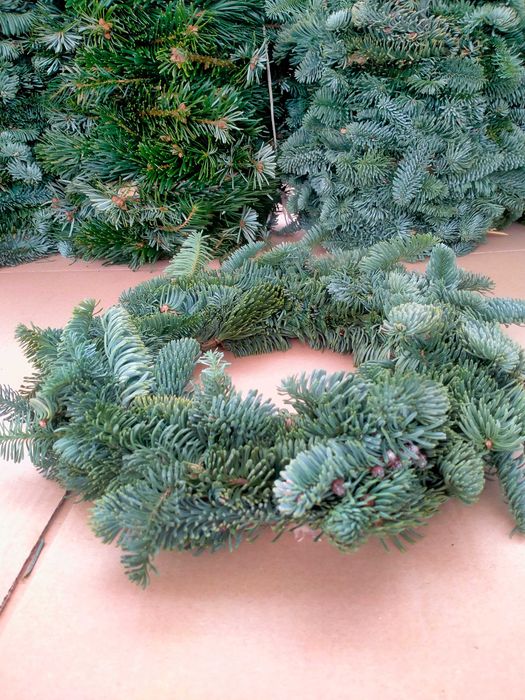 Wianek z jodły WYSYŁKA wianki nobilis