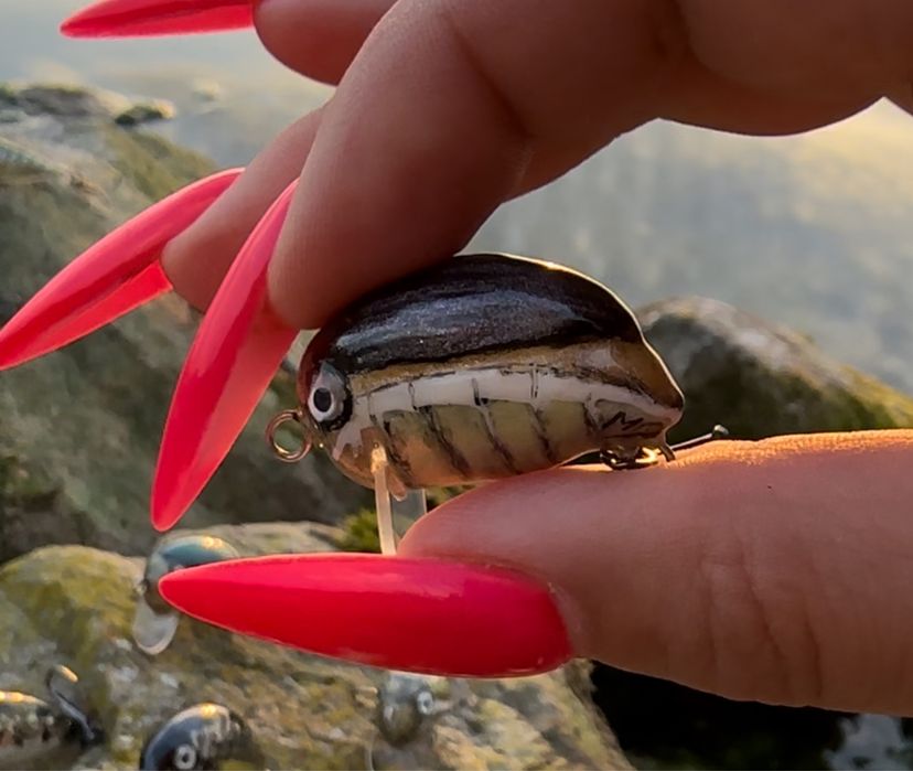 Smużaki MD Szczebrzeszyńskie