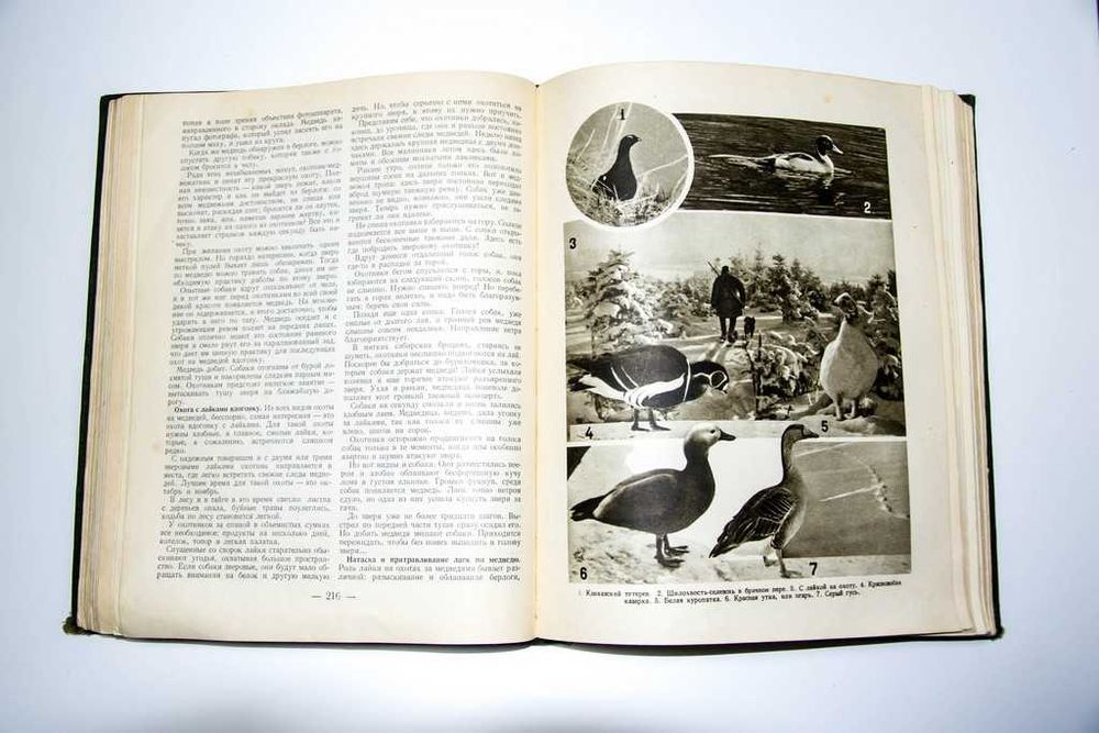 Настольная книга охотника-спортсмена. Том II. 1956