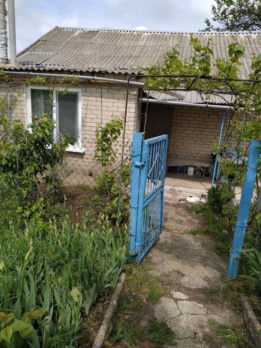 Продаж будинку у селі Ручаївка