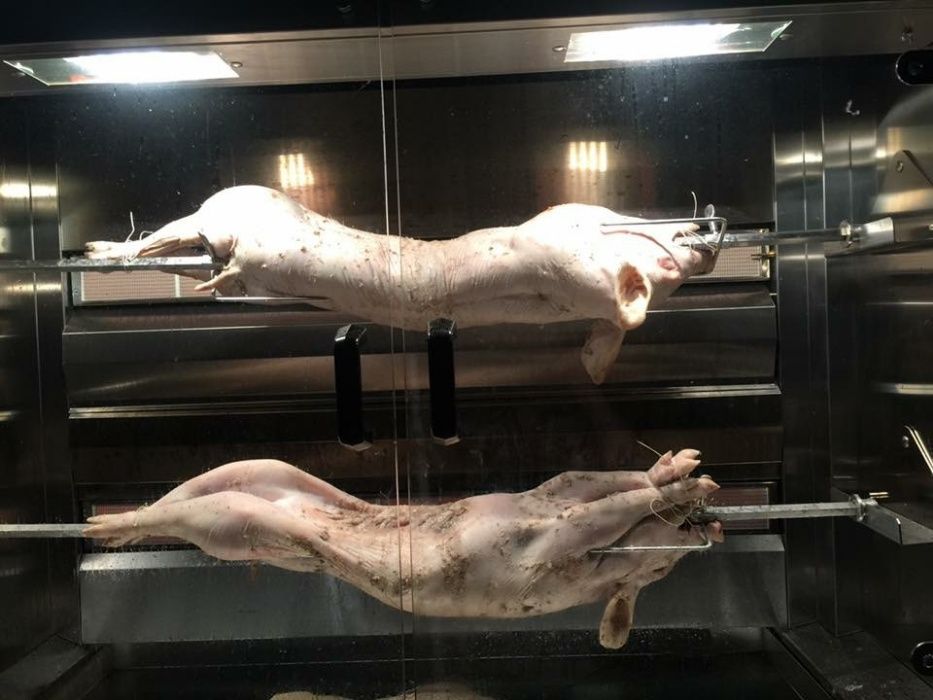 Assador para leitões a Gás ou eléctricos