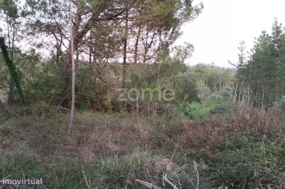 Terreno Rústico à Venda – Vila Nova de Anços 4.100m2