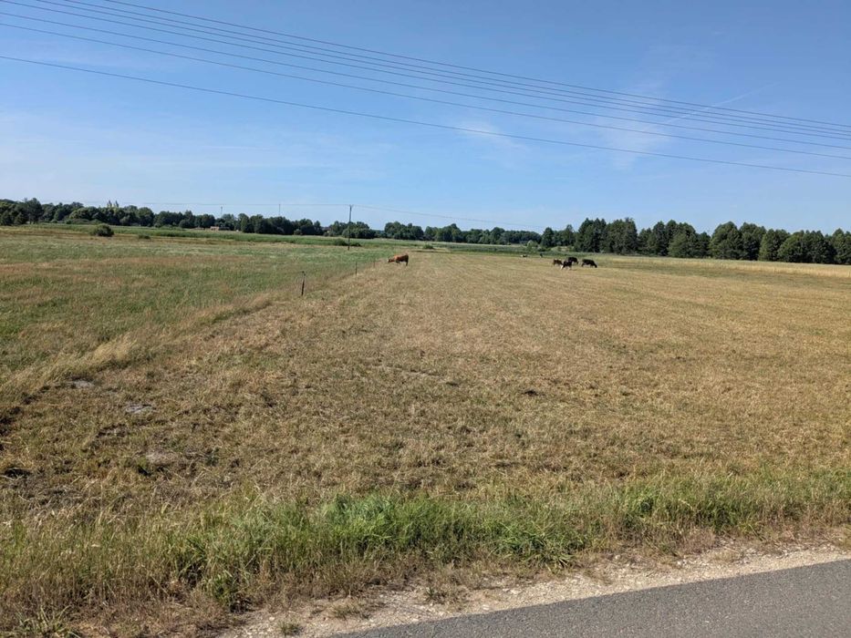 3 działki w cenie 2 - pod budowę z WZ - okazja! nowa cena!