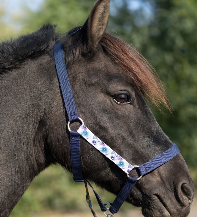 Kantar dla konia full, ręcznie robiony