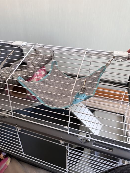 Гамаки для гризунів (пацюків)