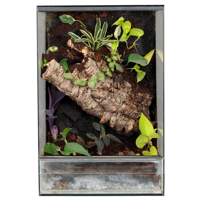 Terrarium las w szkle gekon