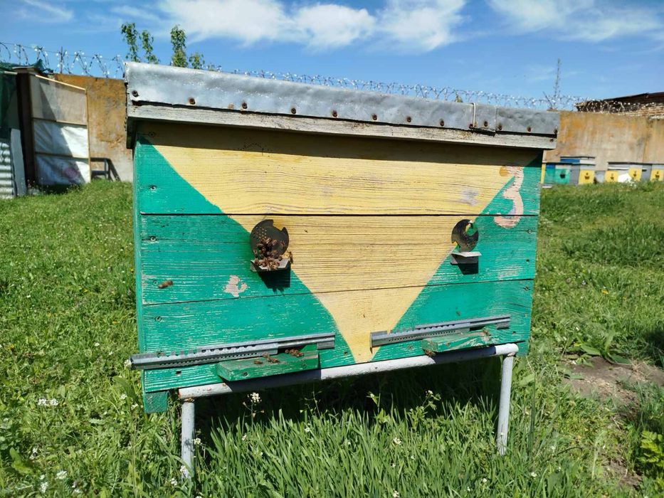 Продам вулики для пасіки