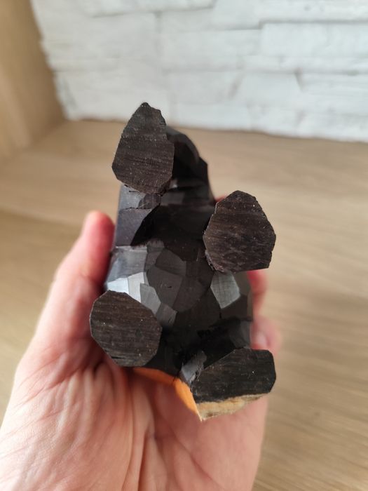 stara rzeźba, słoń z drewna