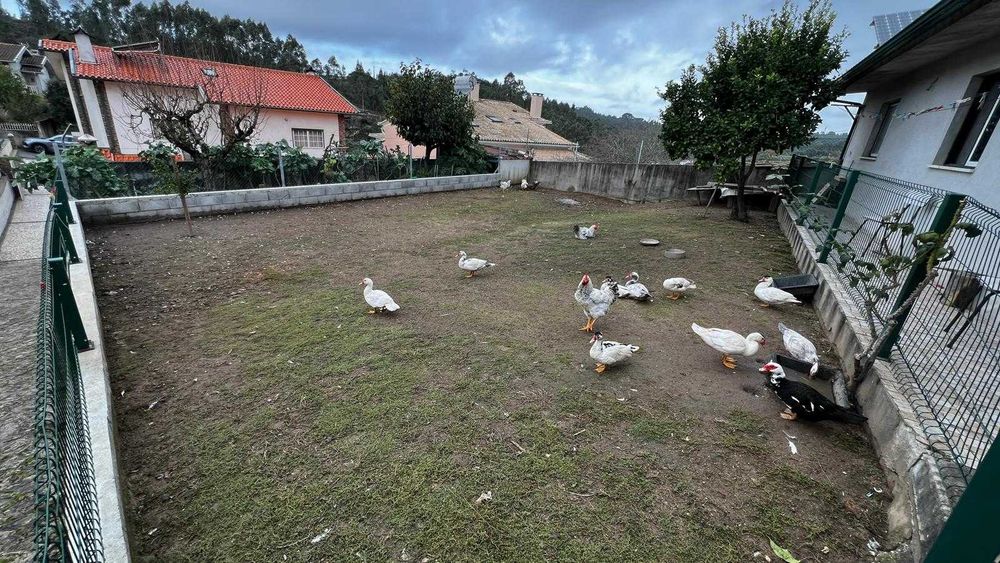 MORADIA T4 EM COIMBRA