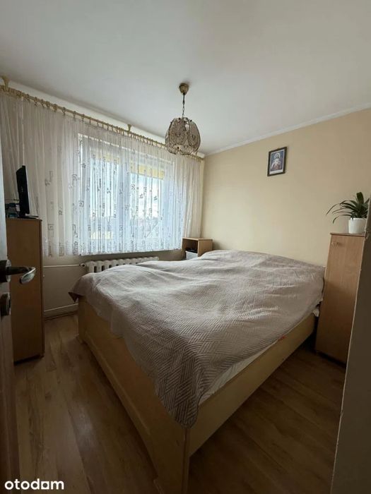 Zdjęcie 8