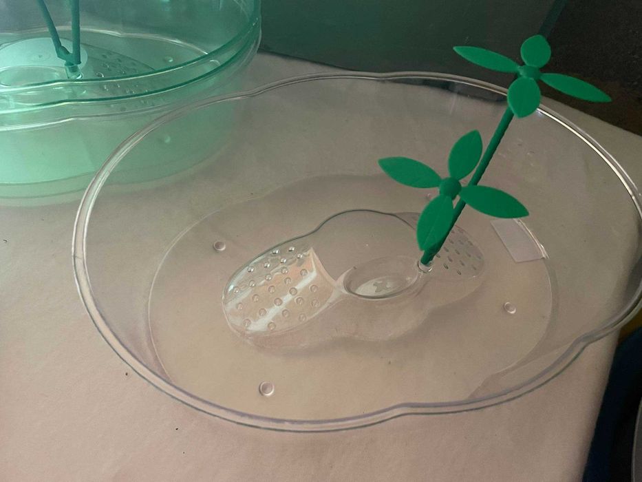 Terrário para tartarugas