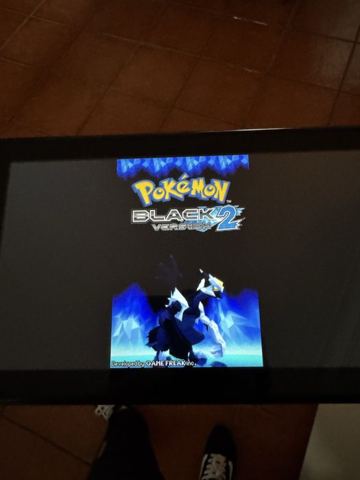 Nintendo Switch Desbloqueada