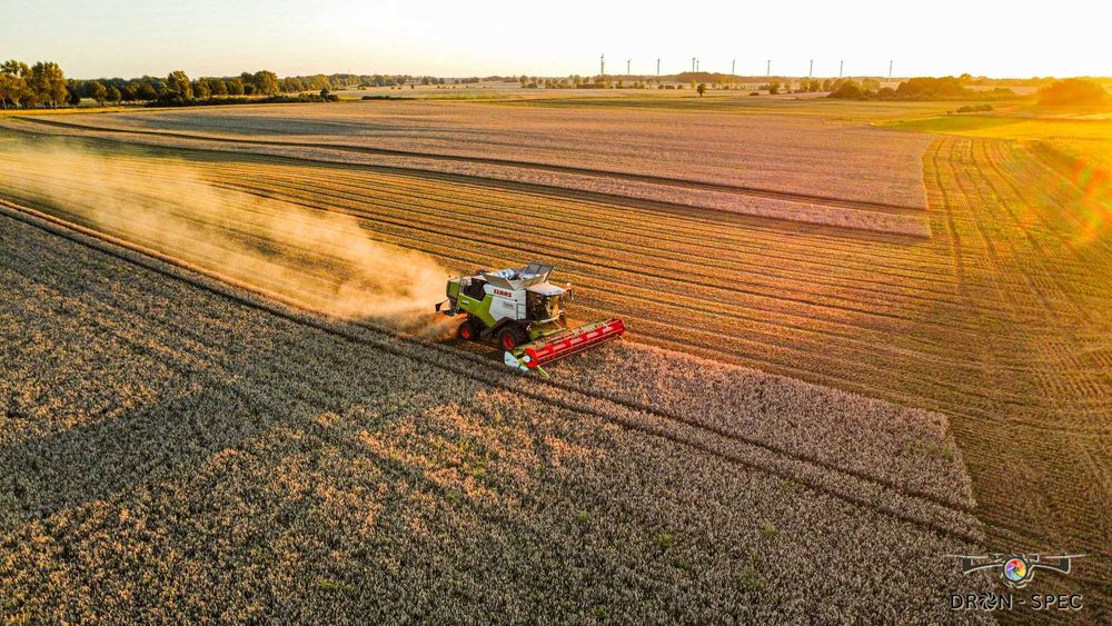Usługi rolnicze, siew pasowy, strip-till, talerzowanie, uprawa