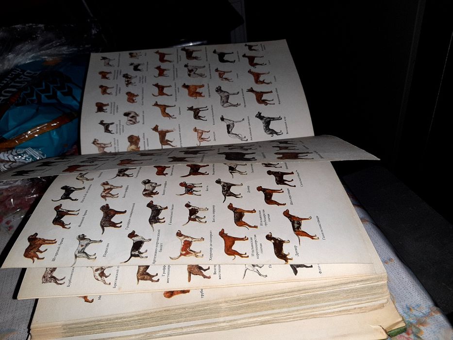 Атлас пород собак