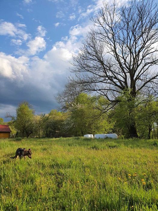 Na sprzedaż działka budowlana 30ar w spokojnej okolicy