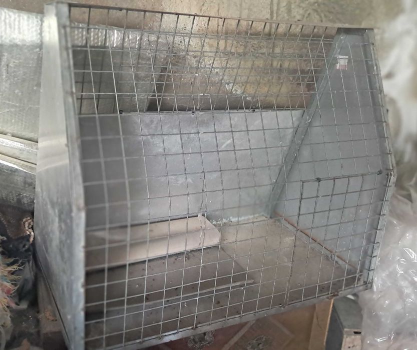 Jaula para transporte cães