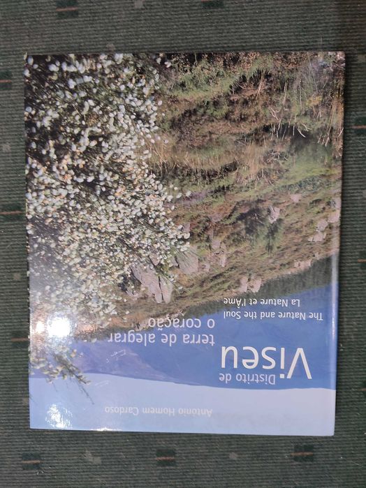 Distrito de Viseu Terra de Alegrar o Coração - António Homem Cardoso