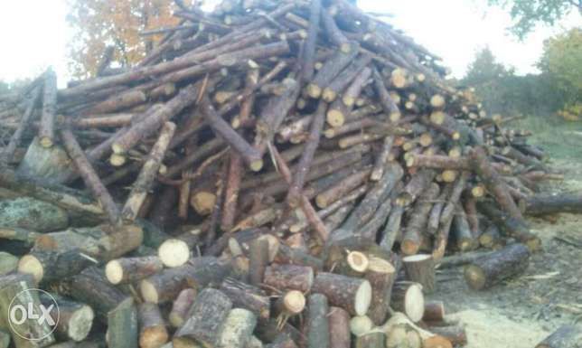 drewno opałowe kominkowe