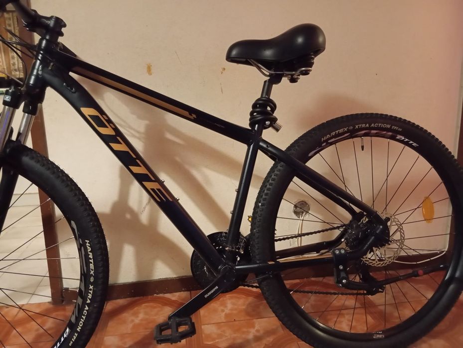Vendo bicicleta OTTO