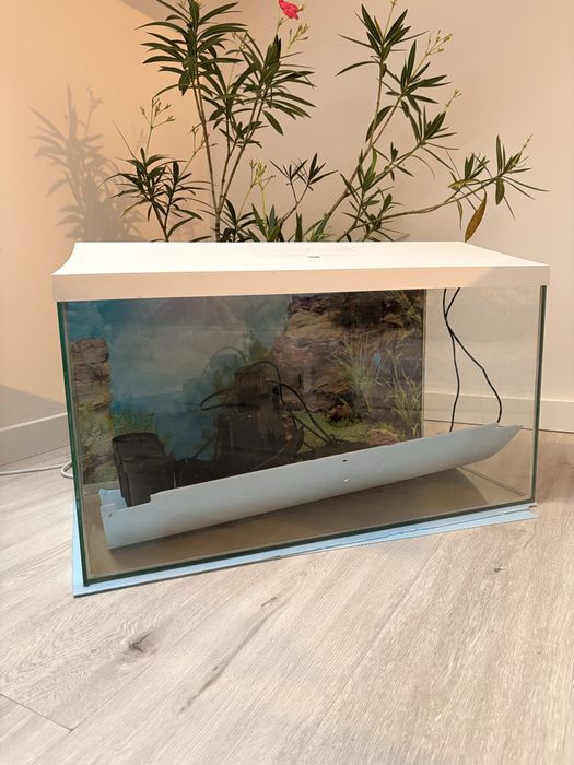 Akwarium 100l w idealnym stanie z całym wyposażeniem