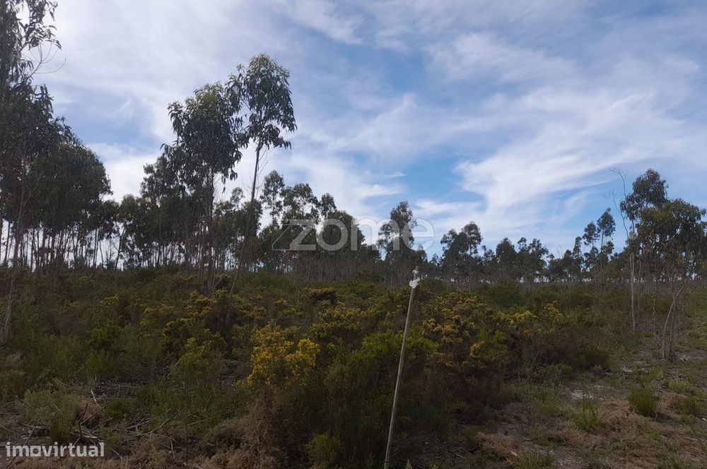 Terreno Rustico com 12580m2