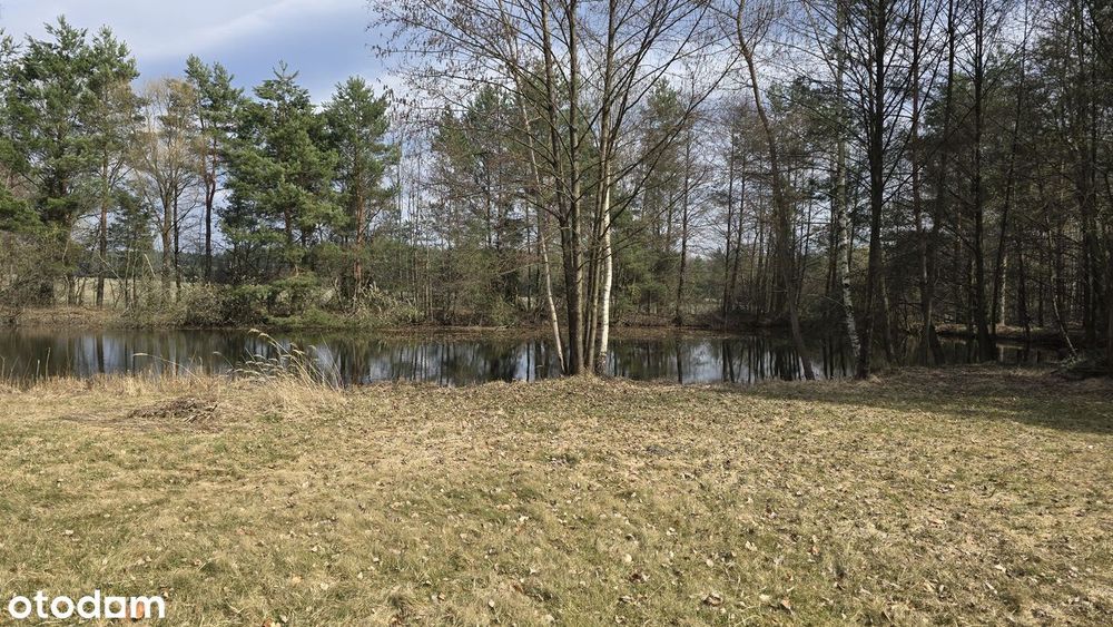 Działka rolna 5900 m² z mediami i ogrodzeniem