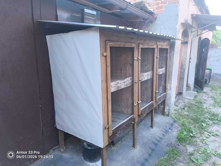 Klatki dla królików