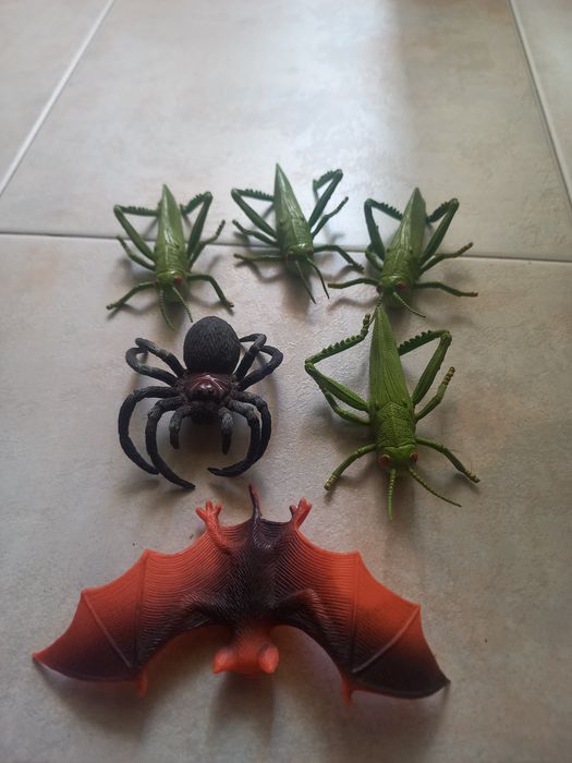 Animais de brincar, da quinta e selvagens