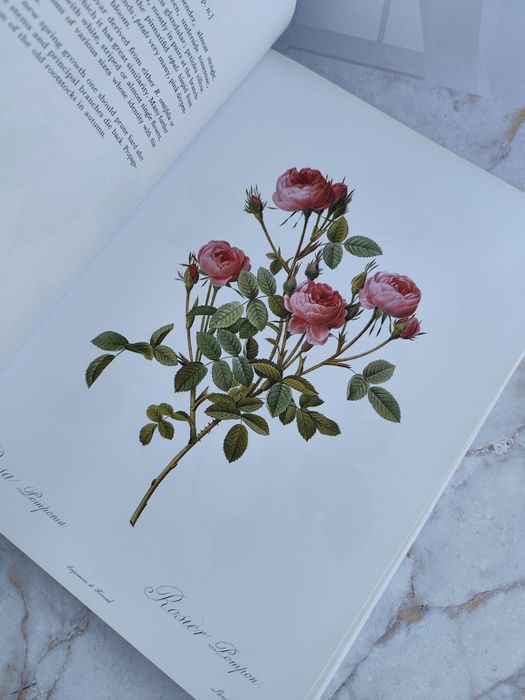 Книга Redoute's Roses