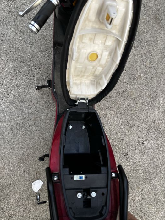 Mota eletrica raider 250 (red)