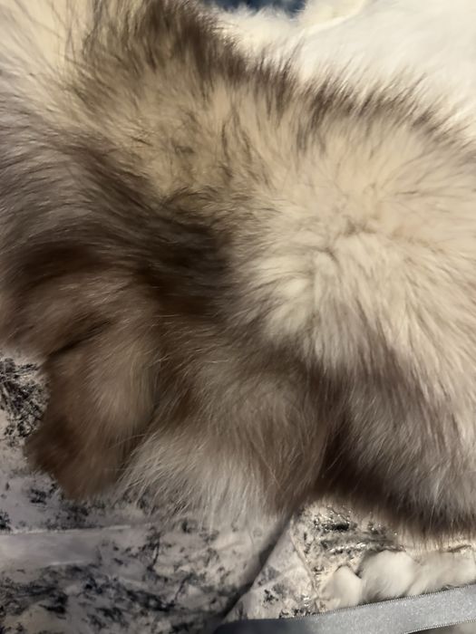 Casaco pelo de coelho com gola de raposa