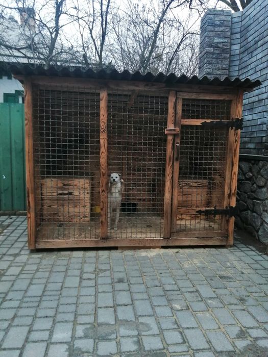 Вольєр для собак