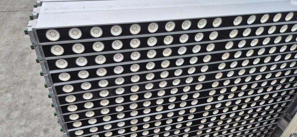 Lampa LED  Spectrum PHILIPS  do uprawy roślin
